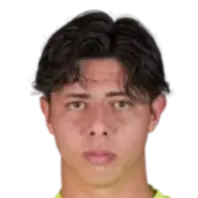 Alexandre Kouto Horio Pisano