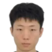 Wen Ruoyu