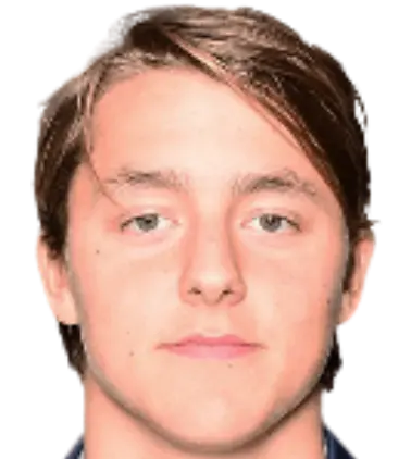 Mathias Gjerstrom