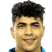 Hatem Mohamed