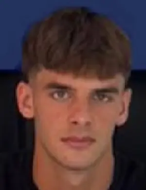 andrea pavanello