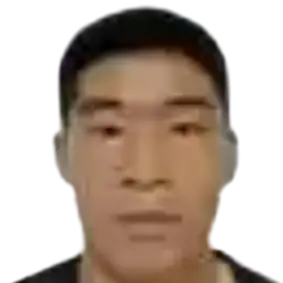 Wang Yifan