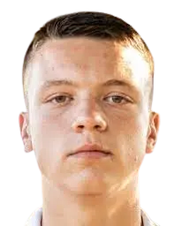 Dzenan Pejcinovic