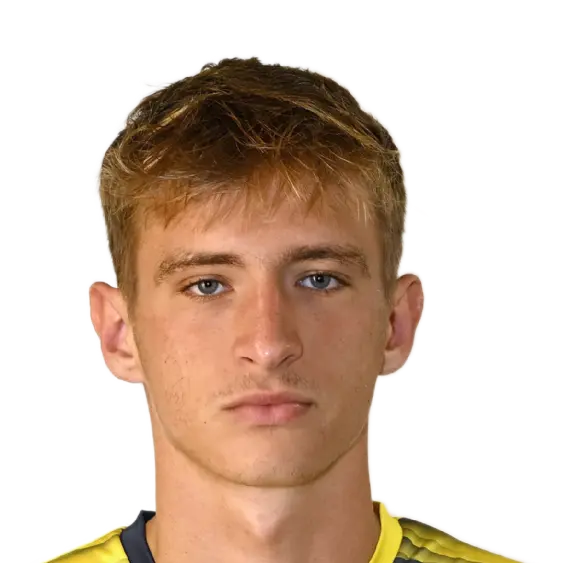 David Bauer