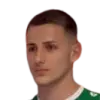 Milos mladenovic