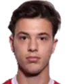 Viktor Živojinović
