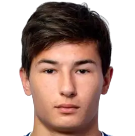 T. Nikolaev