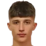 Dino Jergović
