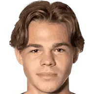 Roman salenko