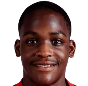 D. Adu-Adjei
