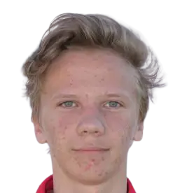 Gregor Vigla