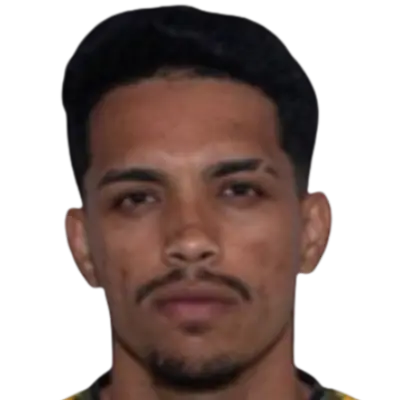 Gabriel Henrique Feitosa da Silva