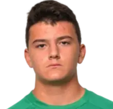 diego mascardi