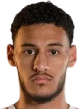 naceur mohammad mannai al