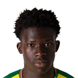Vladimir Henrique Silva