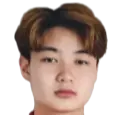 Yan Qihang