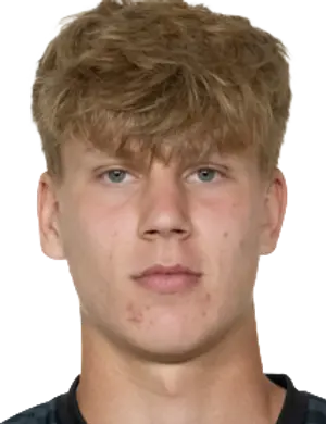Artem Mityaev