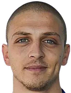 veselin lyubomirov
