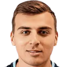 Luka Gojkovic