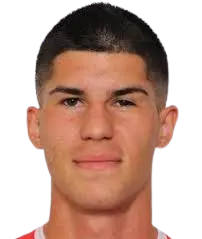 vladimir tomovic