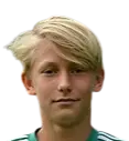 dominik vott