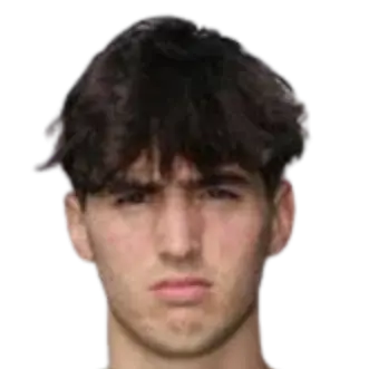 Luca Barani
