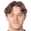 Ludvig Nåvik