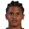 Pedro Andrade Drozina