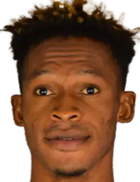 David okoromi