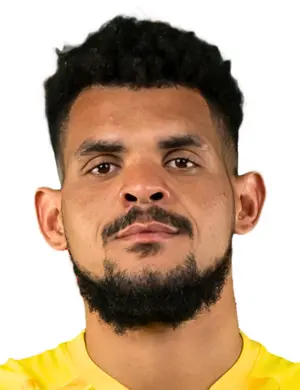 renaldo leaner