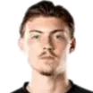 nikola cavlina