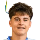 Đorđe Fabris