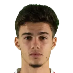 nikola mituljikic