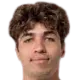 mihai lupan