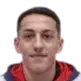 Alessandro Bolzan
