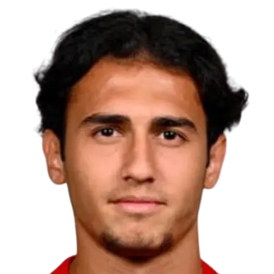 Yiğit Fidan