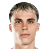 Almin mesanovic