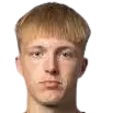 Nojus Vytis Audinis
