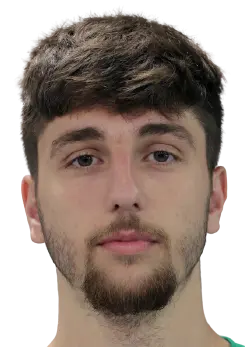 Dalibor Velimirović