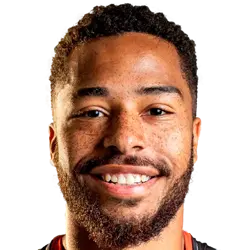 Belotti vinicius