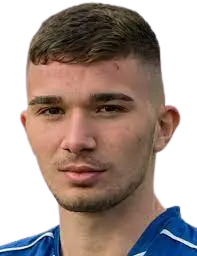 Niko Domjanic