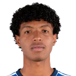 Sander Navarro
