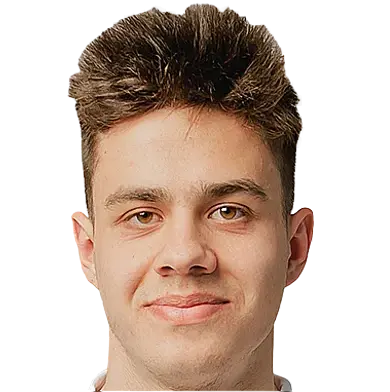 A. Shestyuk