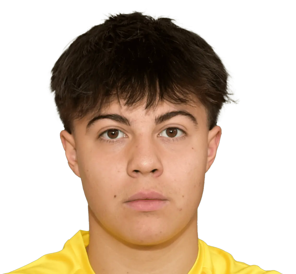 luka karahodzic dovzan