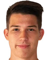 simon vyhlid