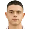 Aleksa Mitic