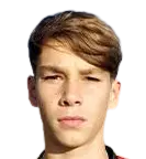 Brent·Stevens