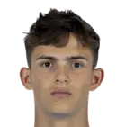 Nahuel Noll