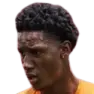 jaquin gargonia