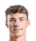 lan hribar